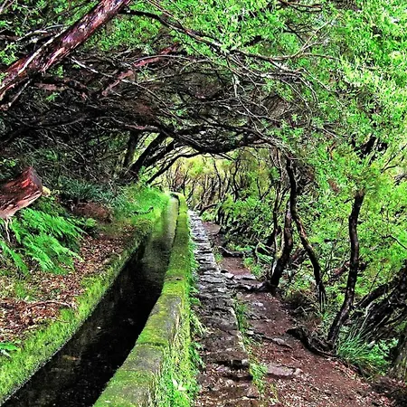 Roraima House - Private Pool & Garden * Calheta (Madeira)