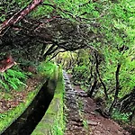 Roraima House - Private Pool & Garden * Calheta (Madeira)
