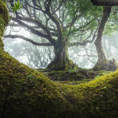 Roraima House - Private Pool & Garden