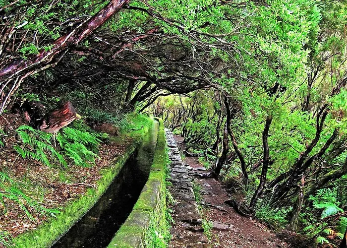 Roraima House - Private Pool & Garden * Calheta (Madeira)